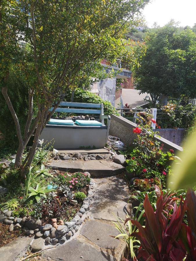 Casa-Albatros Vila Ponta do Sol  Exterior foto