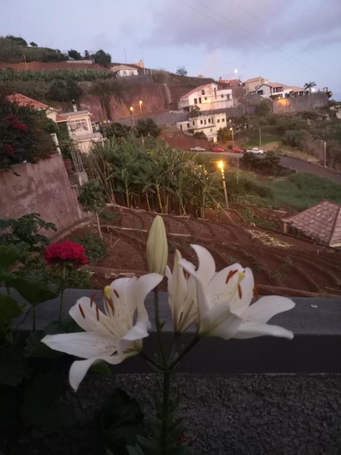 Casa-Albatros Vila Ponta do Sol  Exterior foto